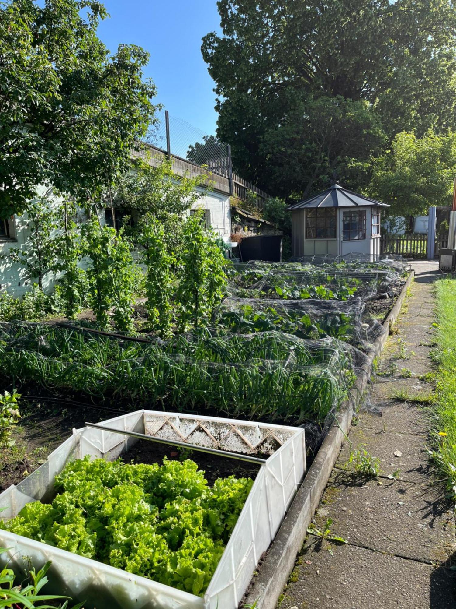 Ferienwohnung Auf Bauernhof Mit Hotpot Und Sauna Sumiswald Exterior foto